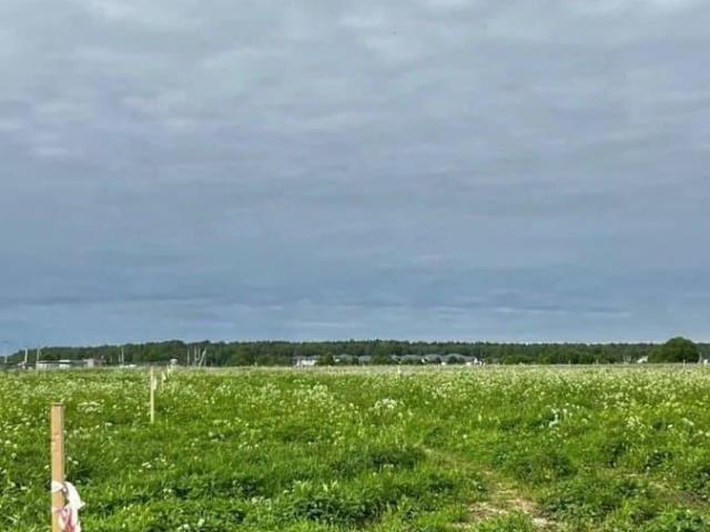 Дом продажа в Ленинградская область