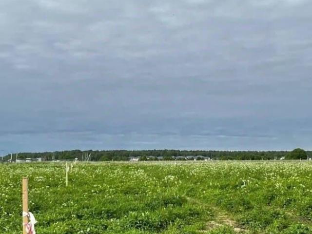 Дом продажа в Ленинградская область