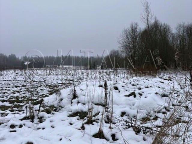 Дом продажа в Ленинградская область