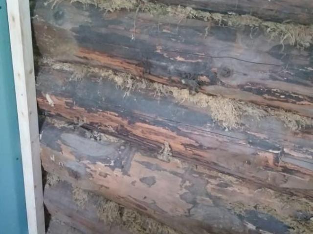 Дом продажа в Новгородская область