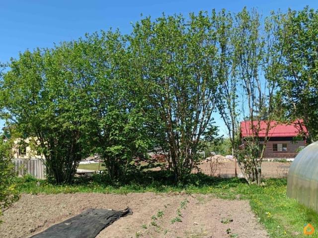 Дом продажа в Псковская область