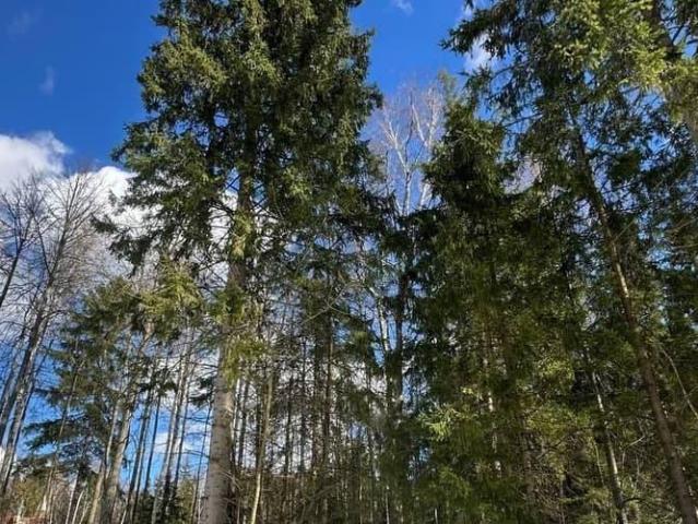 Дом продажа в Сивково Д, Кабардино-Балкарская Республика