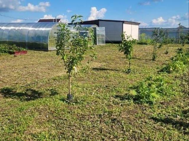 Дом продажа в Ленинградская область