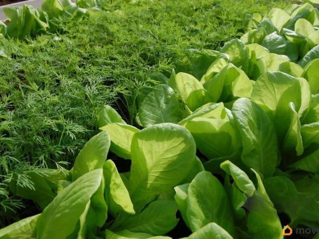Дом продажа в Мордовия Республика