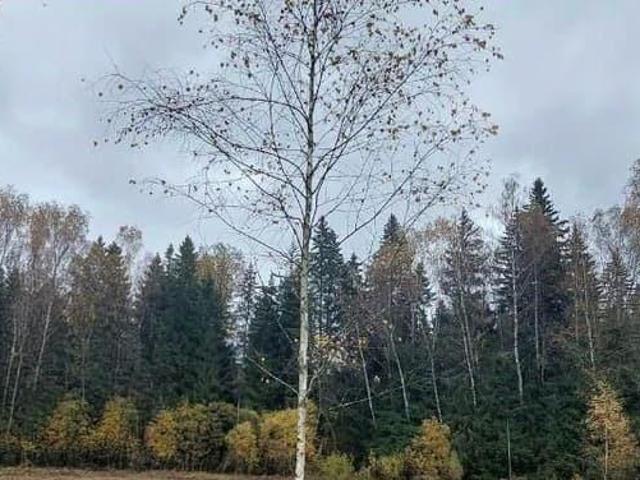 Дом продажа в Кабардино-Балкарская Республика