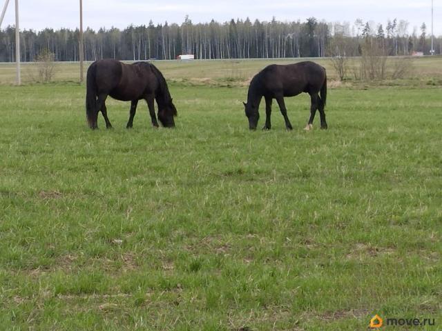 Дом продажа в Владимирская область