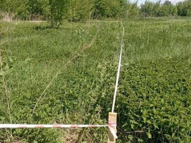 Дом продажа в Костромская область
