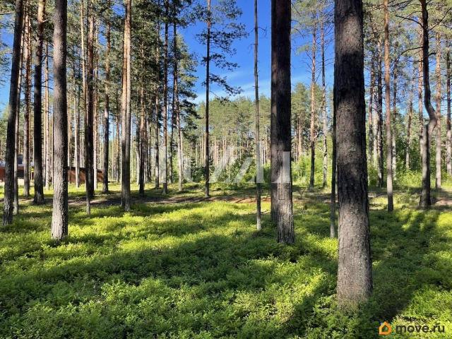 Дом продажа в Ленинградская область