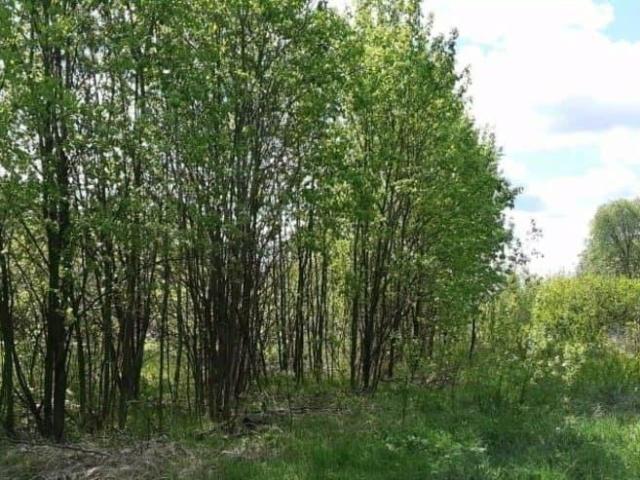 Дом продажа в Кабардино-Балкарская Республика