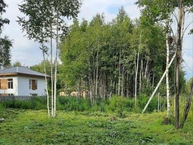 Дом продажа в Ленинградская область