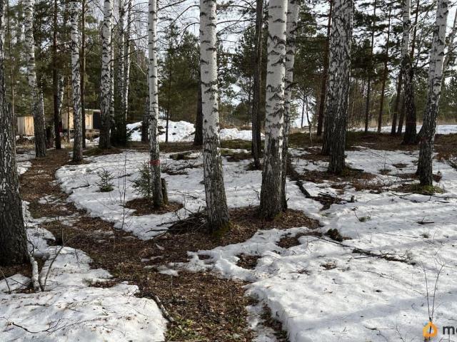 Дом продажа в Красноярский Край