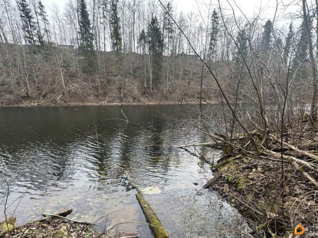 Дом продажа в Ленинградская область
