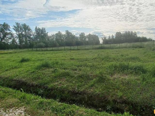 Дом продажа в Ломоносовский район, Северо-Западный федеральный округ