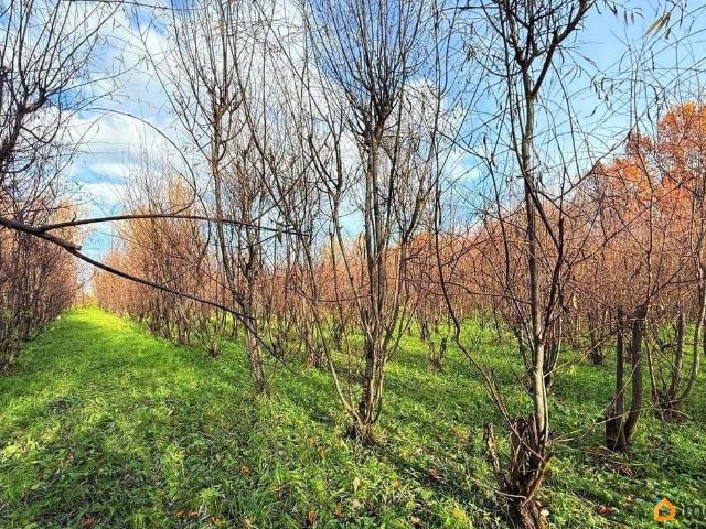Дом продажа в Веслево, Ярославская область