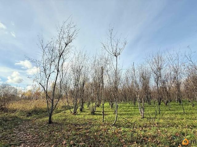 Дом продажа в Веслево, Ярославская область