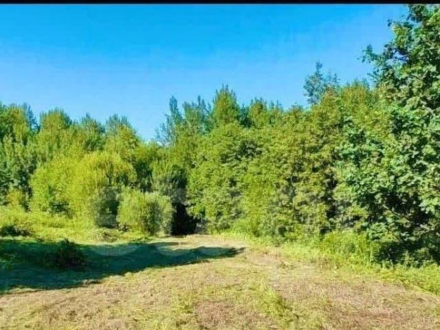 Дом продажа в Веслево, Ярославская область