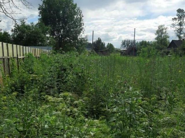 Дом продажа в Ленинградская область