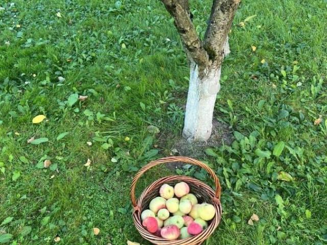 Дом продажа в Захарково, Кабардино-Балкарская Республика