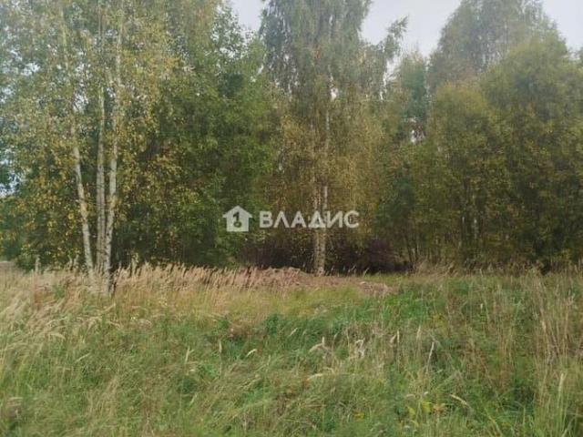 Дом продажа в Владимирская область