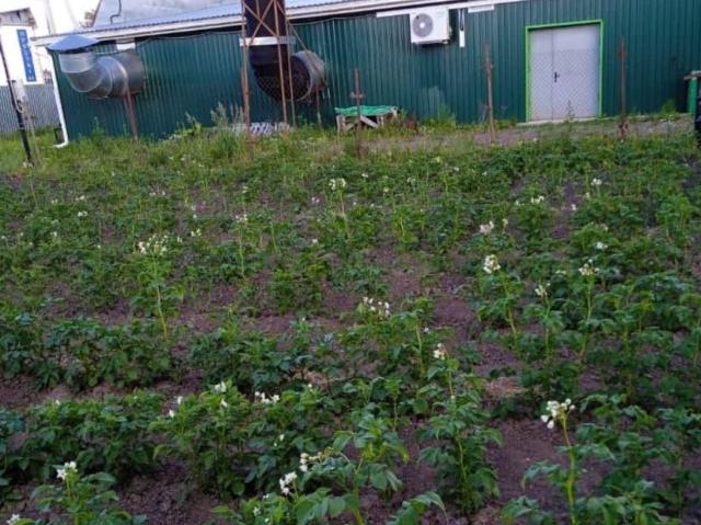 Дом продажа в Кабардино-Балкарская Республика