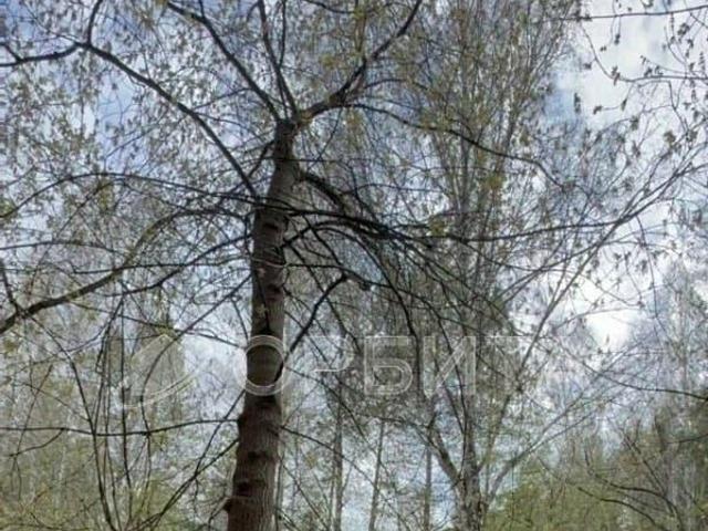 Дом продажа в Тюменская область