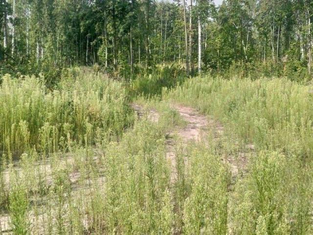 Дом продажа в Димитровград, Ульяновская область