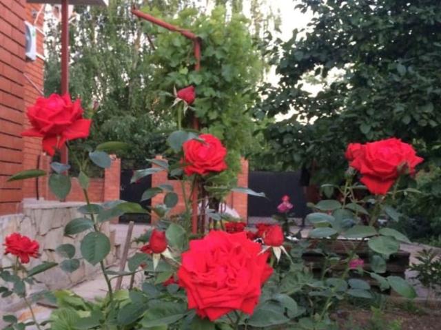Дом продажа в Ейск, Краснодарский Край
