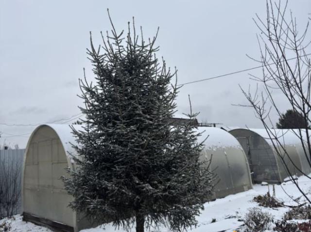 Дом продажа в Свердловск, Свердловская область