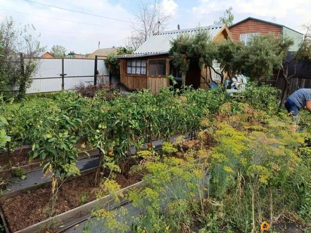 Дом продажа в Челябинская область