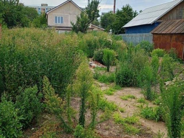 Дом продажа в Энгельс