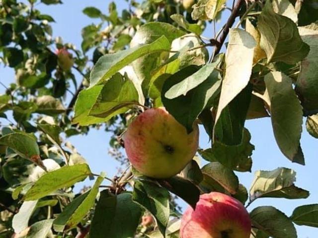 Дом продажа в Гаврилов-ямский Р-н, Ярославская область