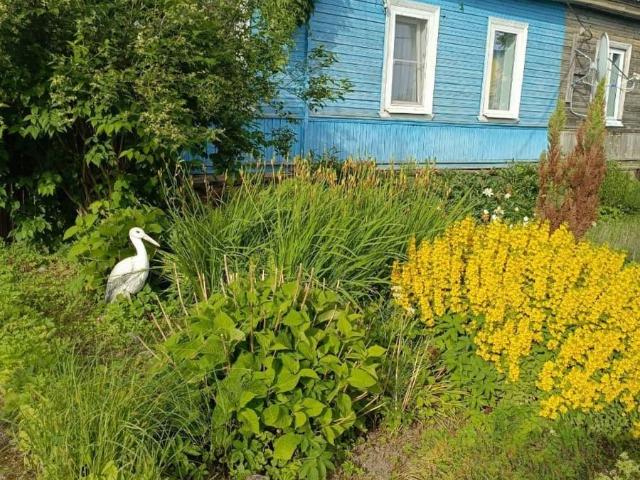 Дом продажа в Гдов, Псковская область