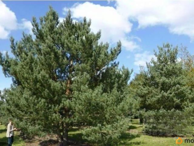 Дом продажа в микрорайон Марьинский, Геленджик