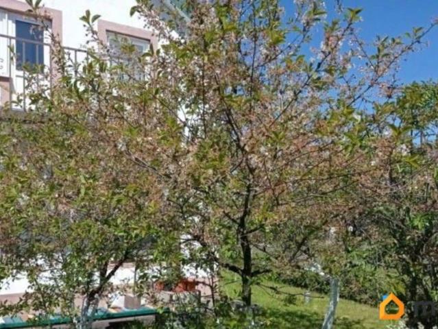 Дом продажа в Гурьевский Р-н, Калининградская область