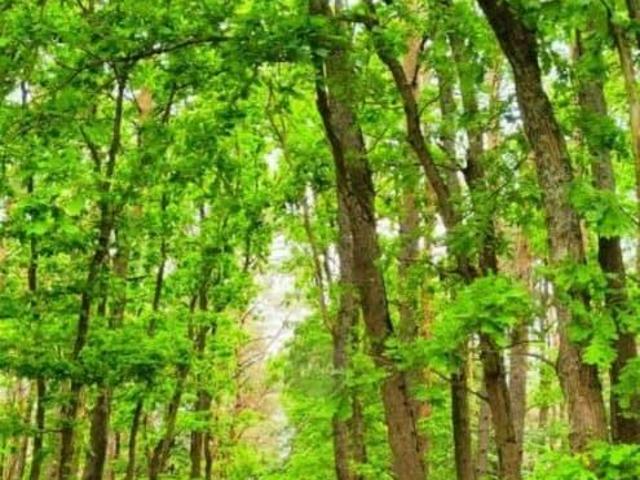 Дом продажа в Калининград, Калининградская область