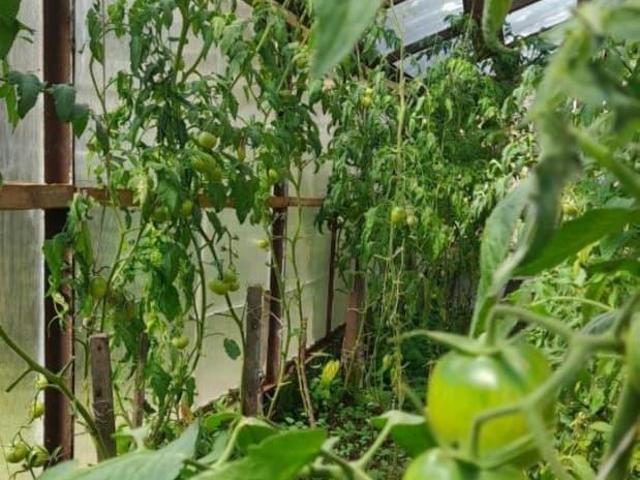 Дом продажа в Канаш, Чувашская Республика - Чувашия