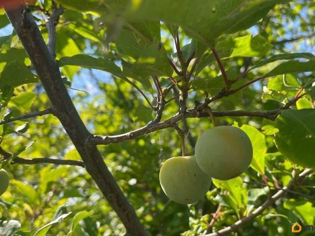 Дом продажа в Канск, Красноярский Край