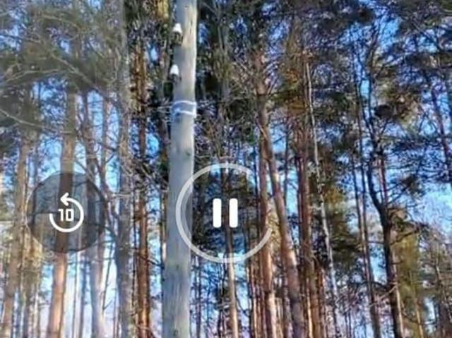Дом продажа в Касимов, Рязанская область