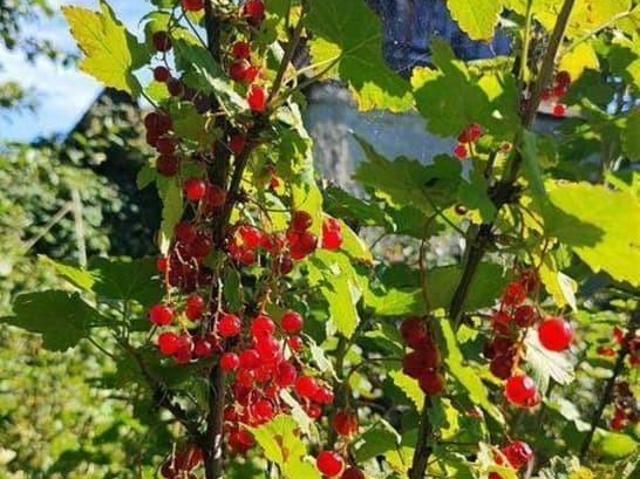 Дом продажа в Кемерово, Кемеровская область