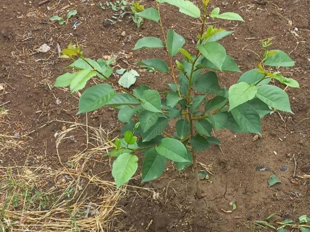 Дом продажа в Керчь