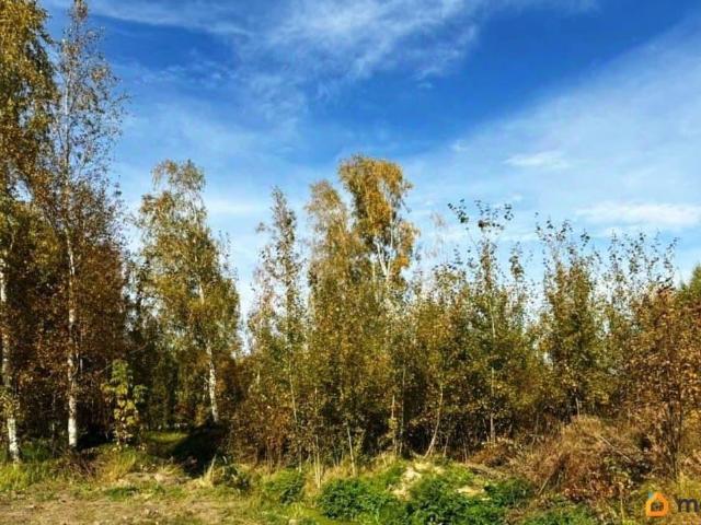Дом продажа в Владимирская область