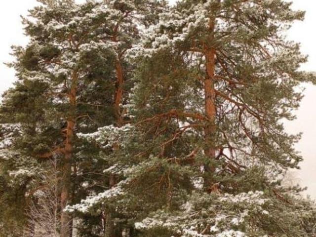 Дом продажа в Кировград, Свердловская область