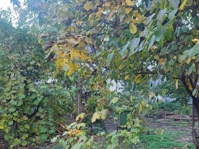 Дом продажа в Кисловодск, Ставропольский Край