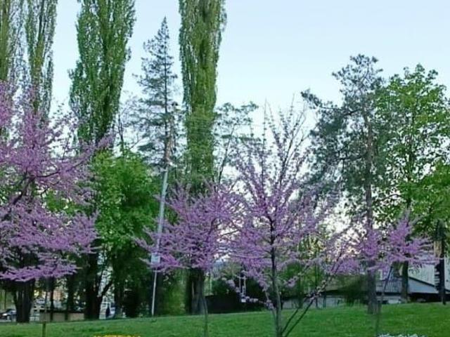 Дом продажа в Кисловодск, Ставропольский Край