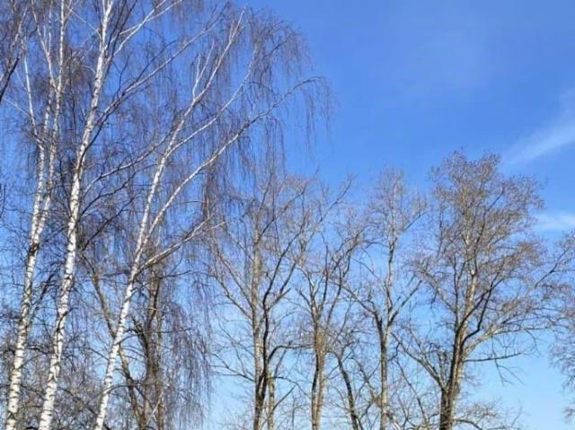 Дом продажа в Кострома, Костромская область