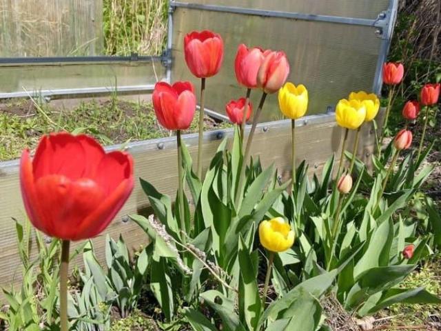 Дом продажа в Красноярск, Красноярский Край