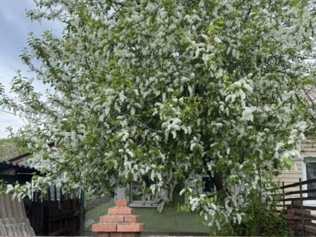 Дом продажа в Красноярск, Красноярский Край