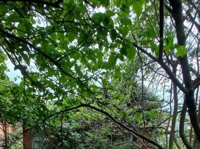 Дом продажа в Березовый, Краснодарский Край