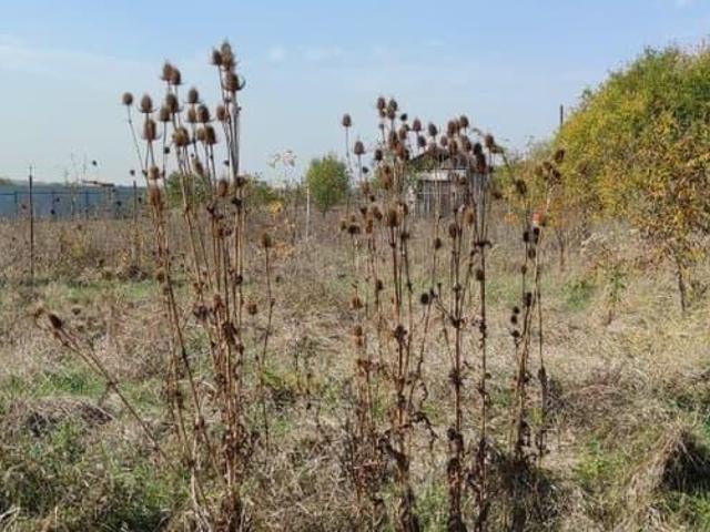 Дом продажа в Дружба Дп, Краснодарский Край