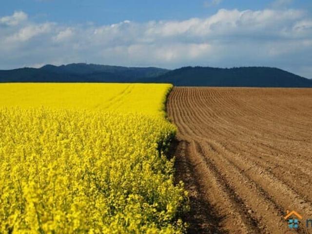 Дом продажа в Березовый, Краснодарский Край